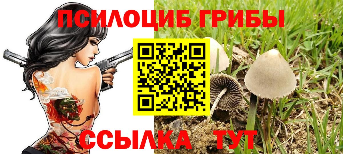 Галлюциногенные грибы Psilocybe  Галлюциногенные грибы мицелий  Вход с VPN  Волжск 